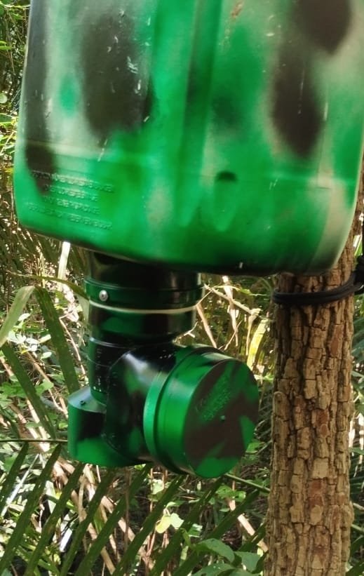 cevador automático cevador automático